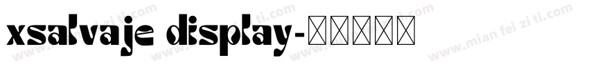 xsalvaje display字体转换
